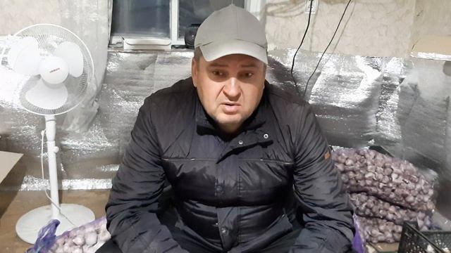 Начало нового сезона 2020-2021г. Сроки посадки, подготовка посадочного материала и почвы. смотреть онлайн