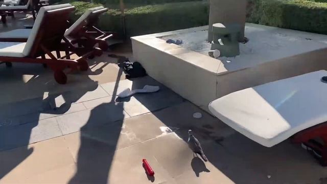 Intercontinental Festival City Dubai 2021