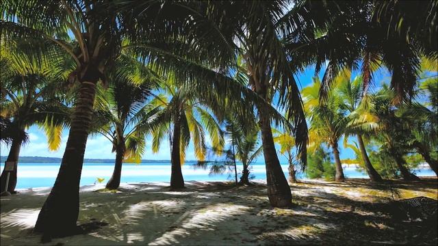 Позитивные вибрации летним утром 432 Гц смотреть онлайн