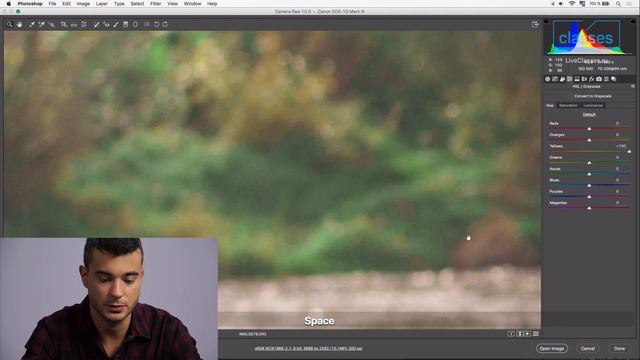 Вкладка HSL. Adobe Camera Raw. Саша Чалдрян