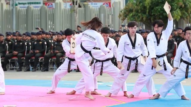 Kukkiwon Taekwondo Demonstration2017 (GRKPP) смотреть онлайн
