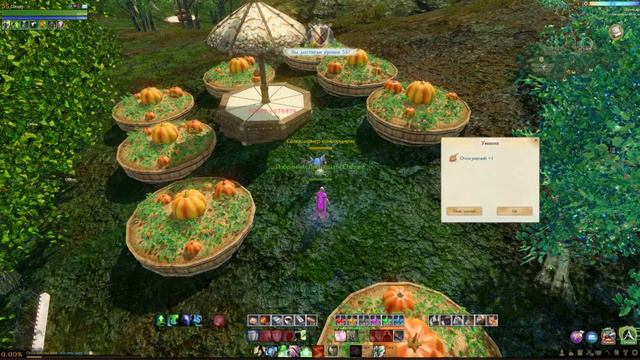 ArcheAge , Rise(Даута) - То чувство , когда апнул 55 смотреть онлайн