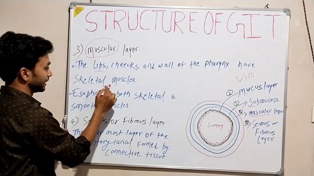 Part -2 || Layer of GIT Explain in Hindi || #medicaleducationbyankitsir смотреть онлайн