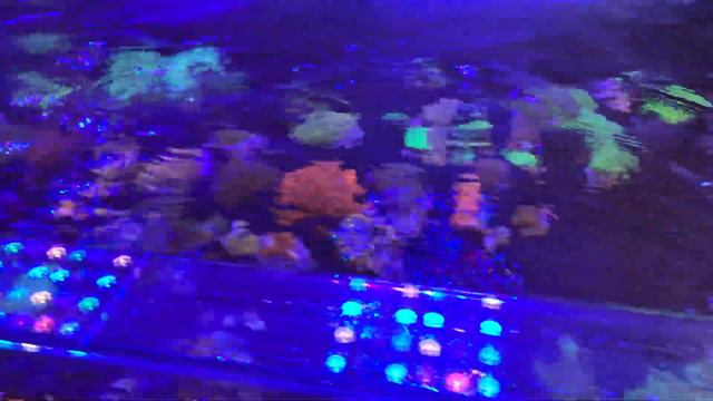 Моя Новая Система. "Течение" смотреть онлайн