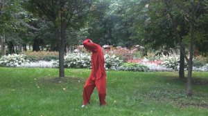 Комплекс цигун И Цзинь Цзин /Мастер Ли Минь/ХэДао