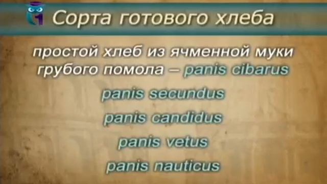 Латинский язык. Урок 2.6. Римский быт и система родства смотреть онлайн