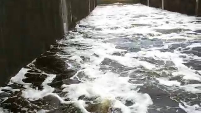 videoplayback29.mp4 смотреть онлайн