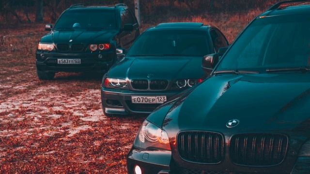 Трутень - кукушка✴ смотреть онлайн