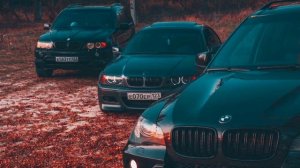 Трутень - кукушка✴