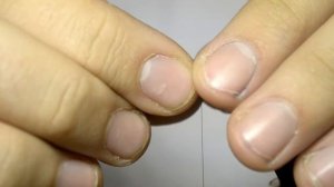 Имитация личинки поденки