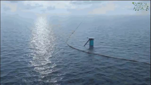 ЧУДЕСА АЛЛАХА КОТОРЫЕ ПОРАЗЯТ ВАС! ДВА РАЗНЫХ МОРЯ! смотреть онлайн