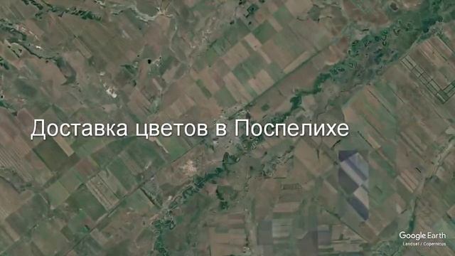 Доставка цветов в Поспелихе - Заказ букетов от компании Скорая подарочная помощь смотреть онлайн