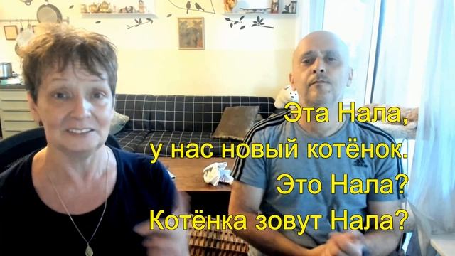 What To Call The Kitten? / Как назвать котёнка? смотреть онлайн
