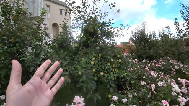 ПОЛЬША. БЕЖЕНЦЫ ИЗ УКРАИНЫ, ИНФОРМАЦИЯ! ВАВЕЛЬСКИЙ ЗАМОК, КРАКОВ. смотреть онлайн
