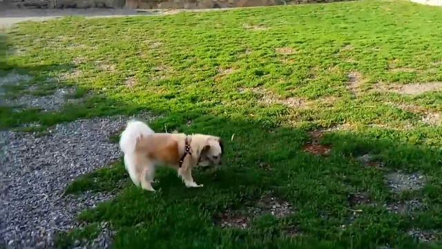 МЫ - Банда#1 (часть2) смотреть онлайн