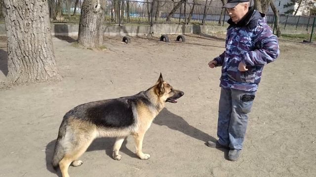 Стоять, лежать! Какие ошибки? смотреть онлайн