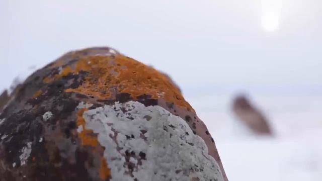 заявочный ролик проекта смотреть онлайн