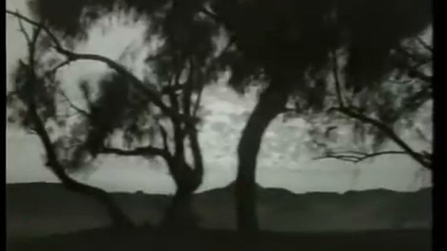 4- праведных халифов