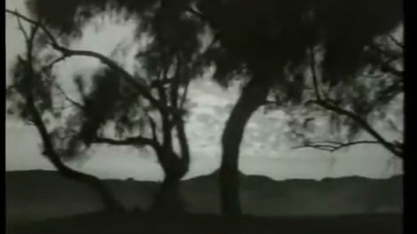 4- праведных халифов