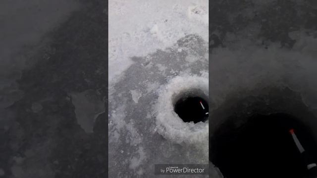 Зимняя рыбалка или ловля окуня, р.Ашкадар смотреть онлайн
