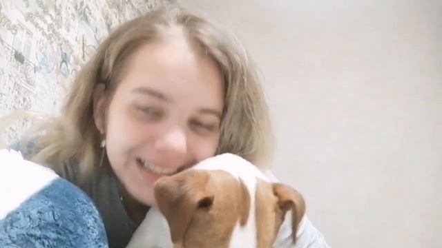 Каток | Тайный Санта | Подарки смотреть онлайн