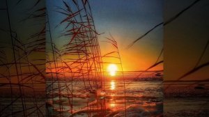 МайТай - Звезда, Человек и Птица