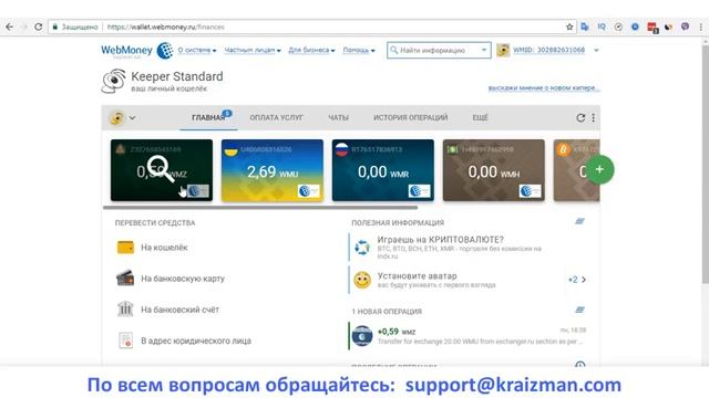 Блокировка WebMoney (UA ) на Украине,как вывести деньги?(ещё актуально больше чем вирус корона). смотреть онлайн