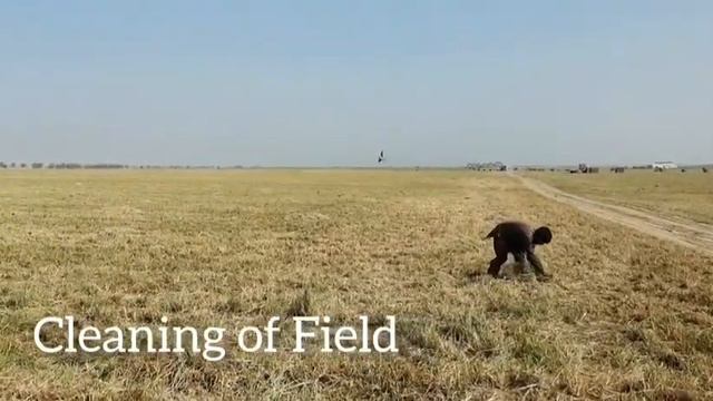 Cleaning of Rhodes Grass Fields after Harvesting смотреть онлайн