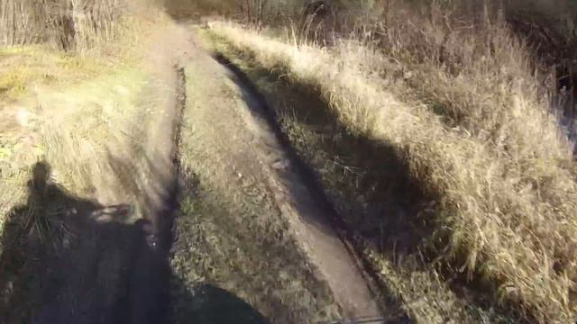 Квадрик, осенний лес, красота! смотреть онлайн