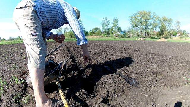 Поздний посев моркови мой метод смотреть онлайн