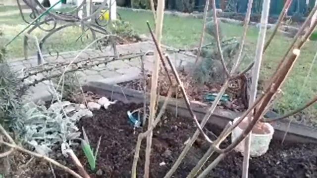 Весна 2019! смотреть онлайн