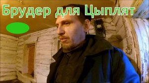 Брудер для цыплят своими руками // Яйценоскость кур осенью