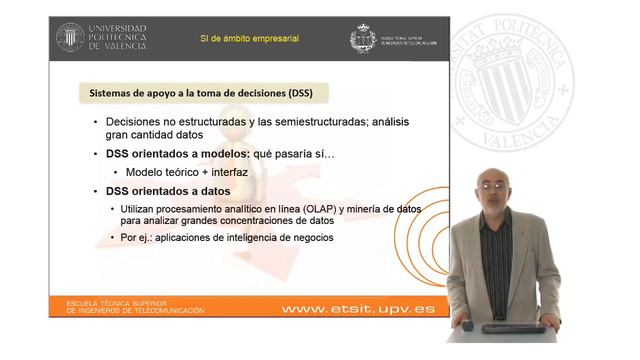 Sistemas De Información Como Soporte A La Toma De Decisiones |  | UPV