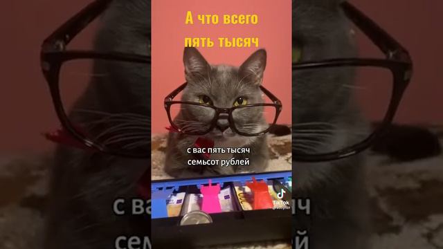 Что будет если коты были в место людей смотреть онлайн