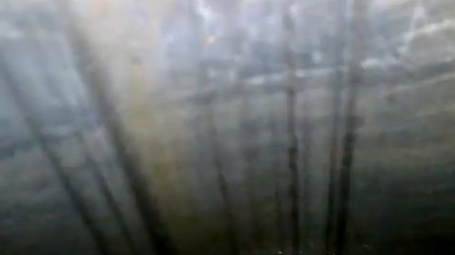 ДВС 1.6 100 лс HWDA без навес Focus 2 (мк п34/2, №1)