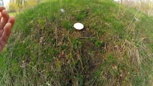 КАРАСЬ на СПИННИНГ! Полезная "фишка" НАНО ДРОП-ШОТА!