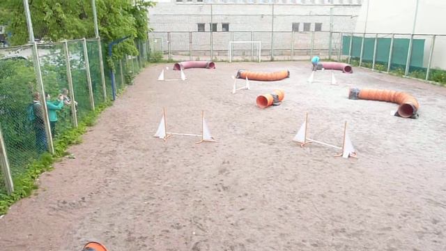 Д0 Small (2 трасса) - Арчибасов Сергей и керн терьер Вик смотреть онлайн