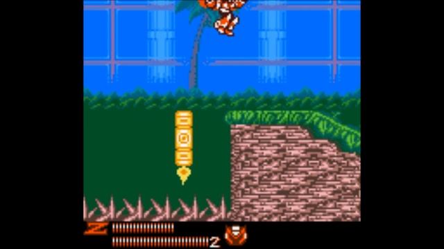 #10 Mega Man Xtreme 2: Wire Sponge (No Damage) смотреть онлайн