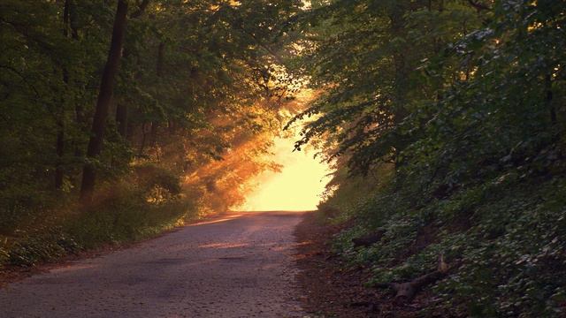 PSALM 128/February 9, 2023/CHANGE MY HEART, OH GOD/PRAYER AND MEDITATION/ Nourish Daily смотреть онлайн