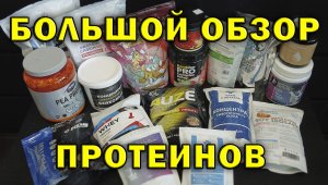 Обзор протеинов