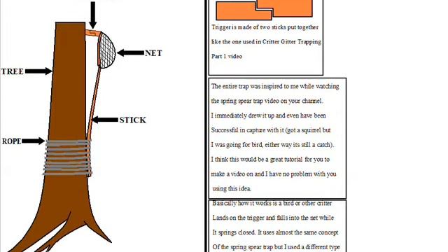 Spring Net Trap смотреть онлайн