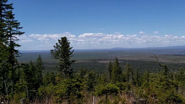 Советская гавань смотреть онлайн
