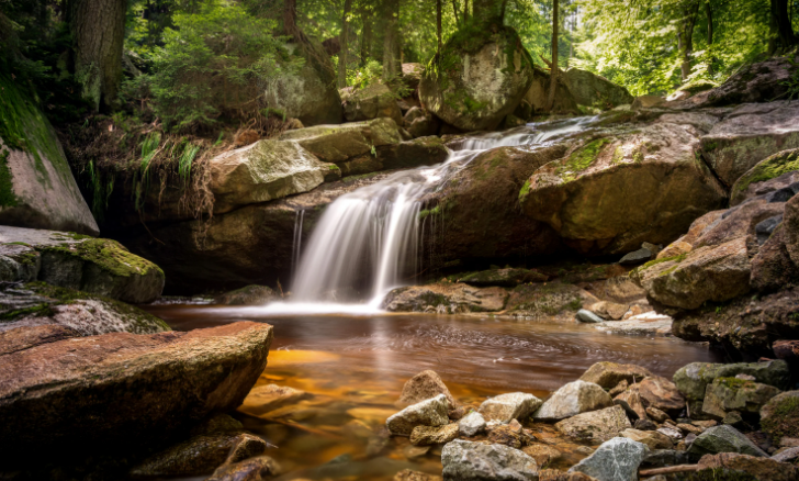 Звуки Природы Для Сна. Звуки Воды Для Сна. Звуки Лесного Ручья, Щебетание Птиц ✦ Relax смотреть онлайн