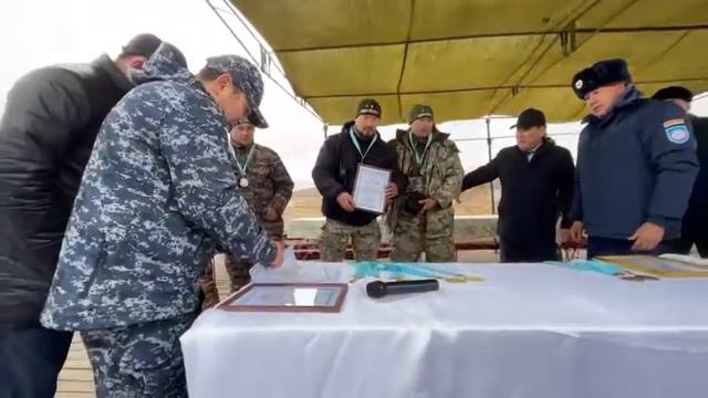 Ни хвоста, ни чешуи смотреть онлайн