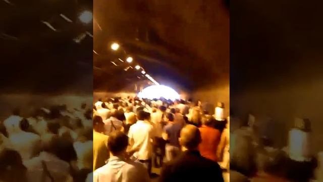 Мила, Родино!... Оставка, Мафия, 15.06., гр. Пловдив смотреть онлайн
