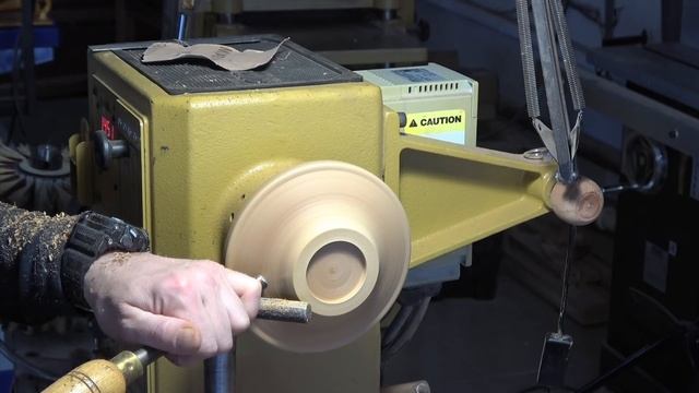 Русская экзотика. Маакия Амурская и Боярышник. Первые впечатления смотреть онлайн