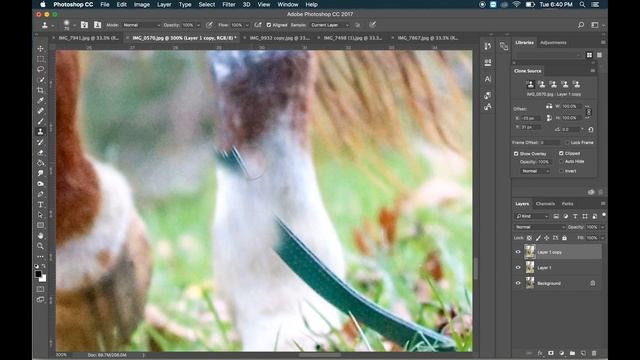 Removing Horse Lead Rope Photoshop Demo смотреть онлайн