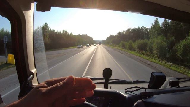 Суслики на Валдберис