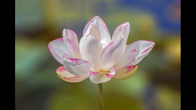 Спикерская Анастасии. АП. (Анонимные переедающие).22.04.2017 смотреть онлайн