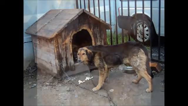 :( настоко люди жестокие смотреть онлайн